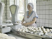 Оборудование кондитерского цеха 2 Оборудование кондитерского цеха 2