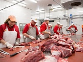 Оборудование мясного цеха 1 Оборудование мясного цеха 1